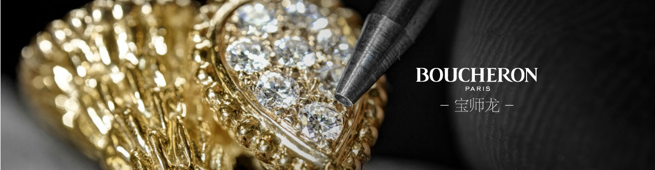 探索宝师龙世界